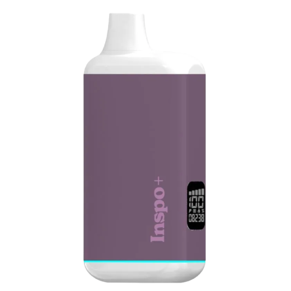 Randy's Inspo Plus Vaporizer