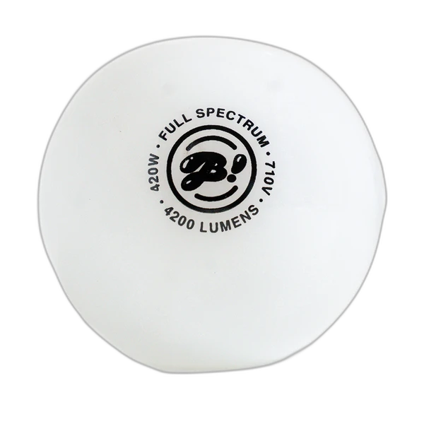 BIGFUN! LightBowlb Hand Pipe
