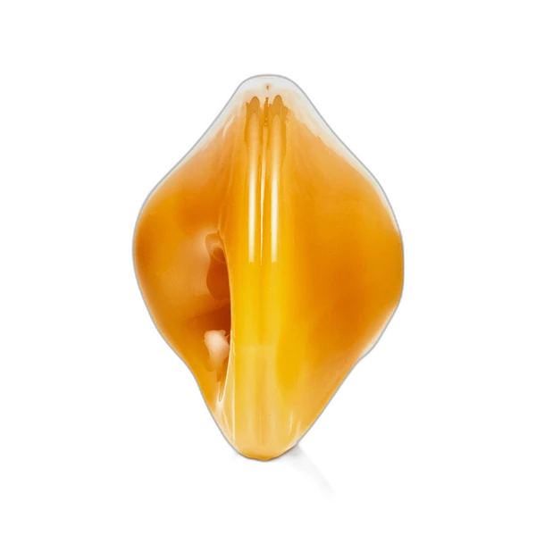 Hemper Hemper Fortune Cookie Hand Pipe