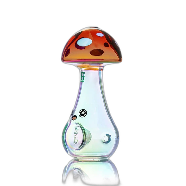 In the Box Image