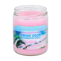 Smoke Odor Smoke Odor Exterminator 13oz Candles 6-Pack
